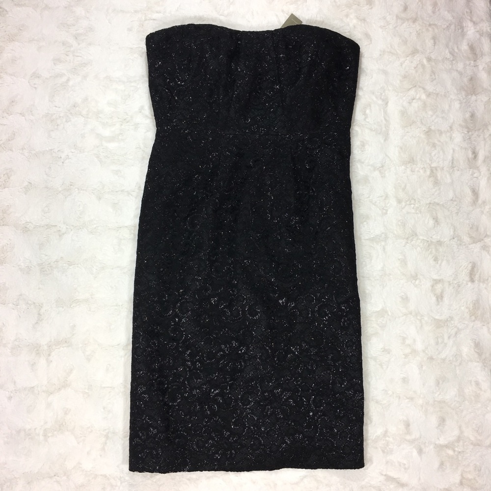 J. Crew Tinsel Lace Dress NWT Size 2